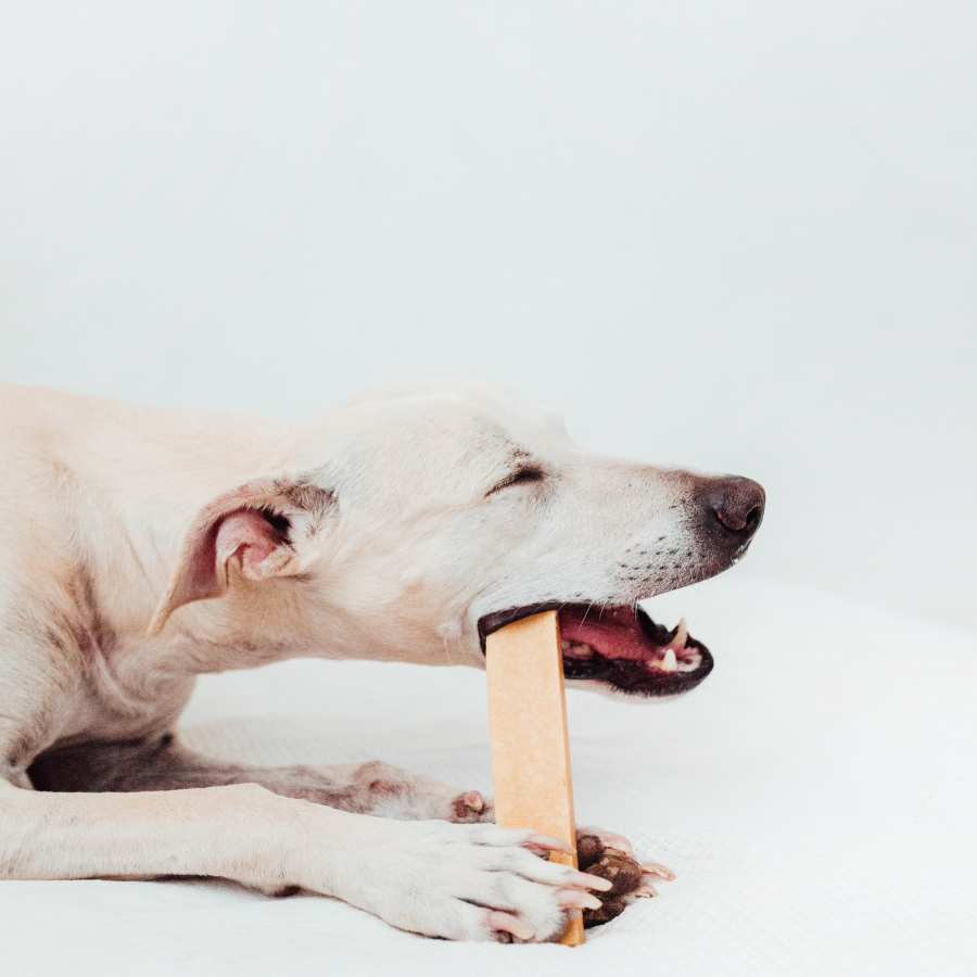 BIMORBOX Peque&ntilde;a - Pack  Snacks y Juguetes Naturales para Perros, , large Imagen numero 3